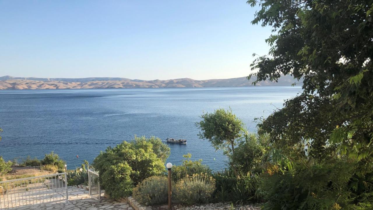 Resort Haus Toma Cesarica Exterior photo